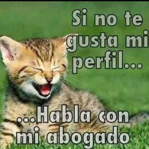 Meet your Posher, Melvin